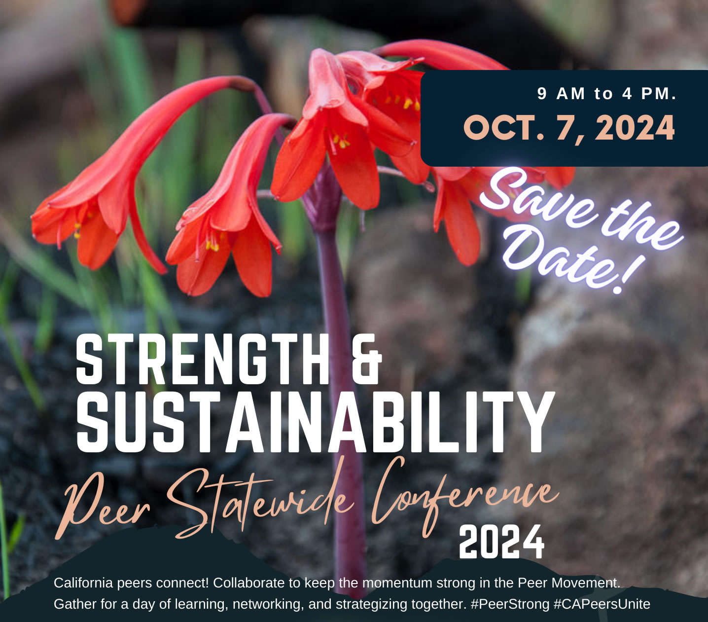 Strength & Sustainability - Peer Statewide Conference 2024 | LaVoy Wagner LLC